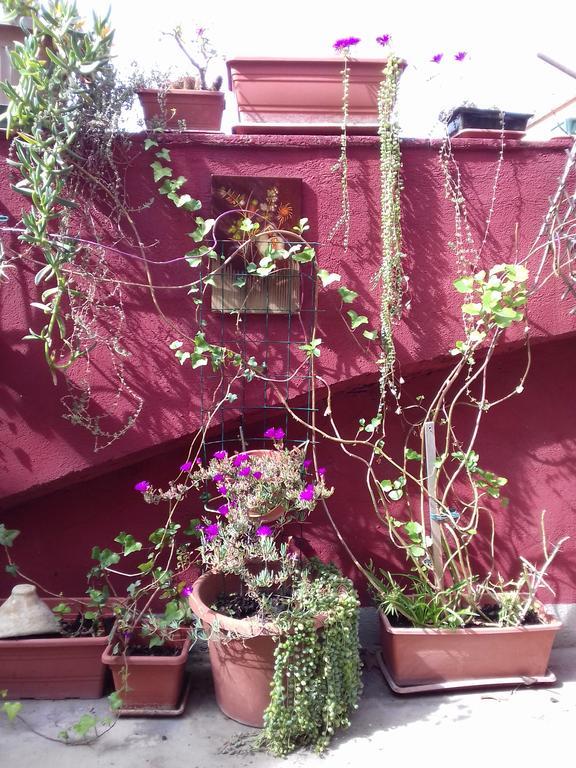 Bed & Breakfast Alfeo